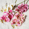 Artificial 6-Head Phalaenopsis Orchid